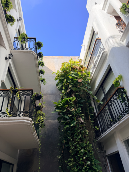 Hotel en venta en Playa del Carmen, Playa del Carmen — foto 3 de 23