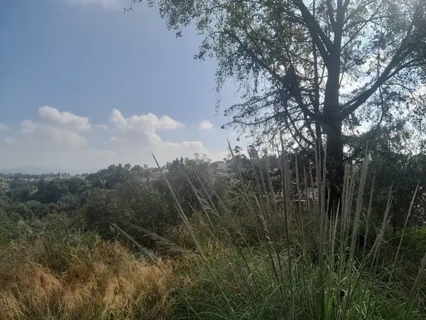 Terreno en venta en Lomas Verdes (Conjunto Lomas Verdes), Naucalpan de Juárez — foto 3 de 3