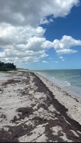 TERRENO FRENTE AL MAR, KM 17 PLAYA A CARRETERA UAYMITUN