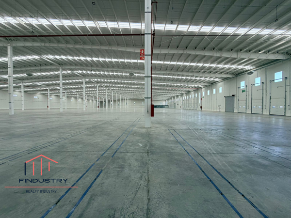 Bodega en renta en Santo Tomas, Teoloyucan — foto 2 de 22