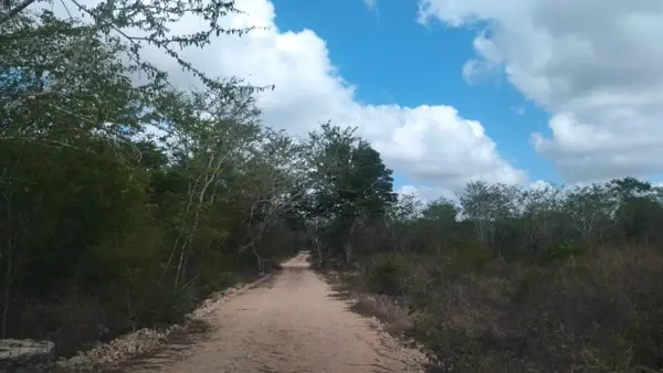 Terreno en venta en Yaxkukul, Yaxkukul — foto 3 de 6