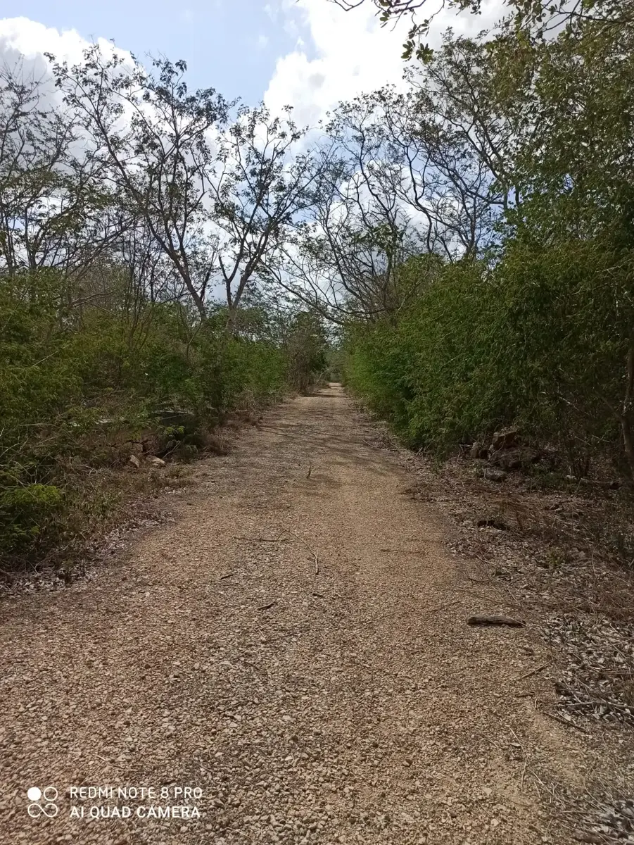 Terreno en venta en Yaxkukul, Yaxkukul — foto 1 de 6