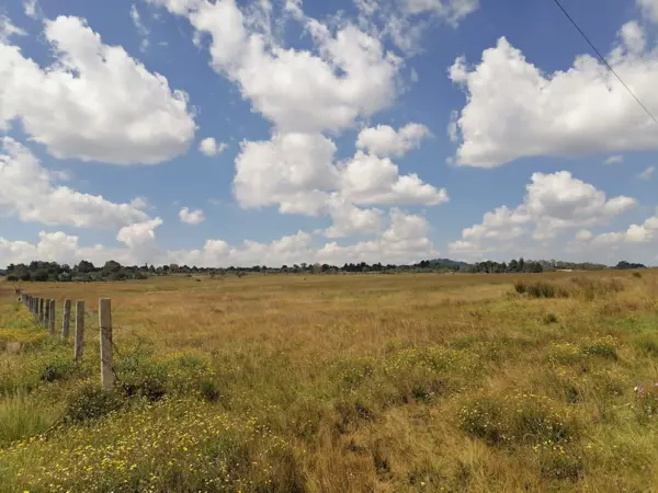 Terreno en venta en Las Manzanas, Jilotepec — foto 2 de 4