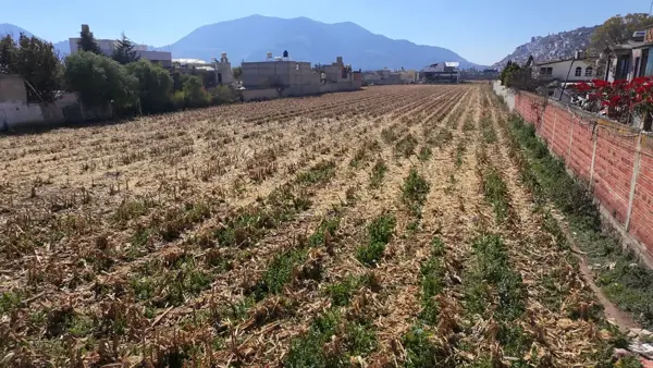 Terreno en Tenango del Valle