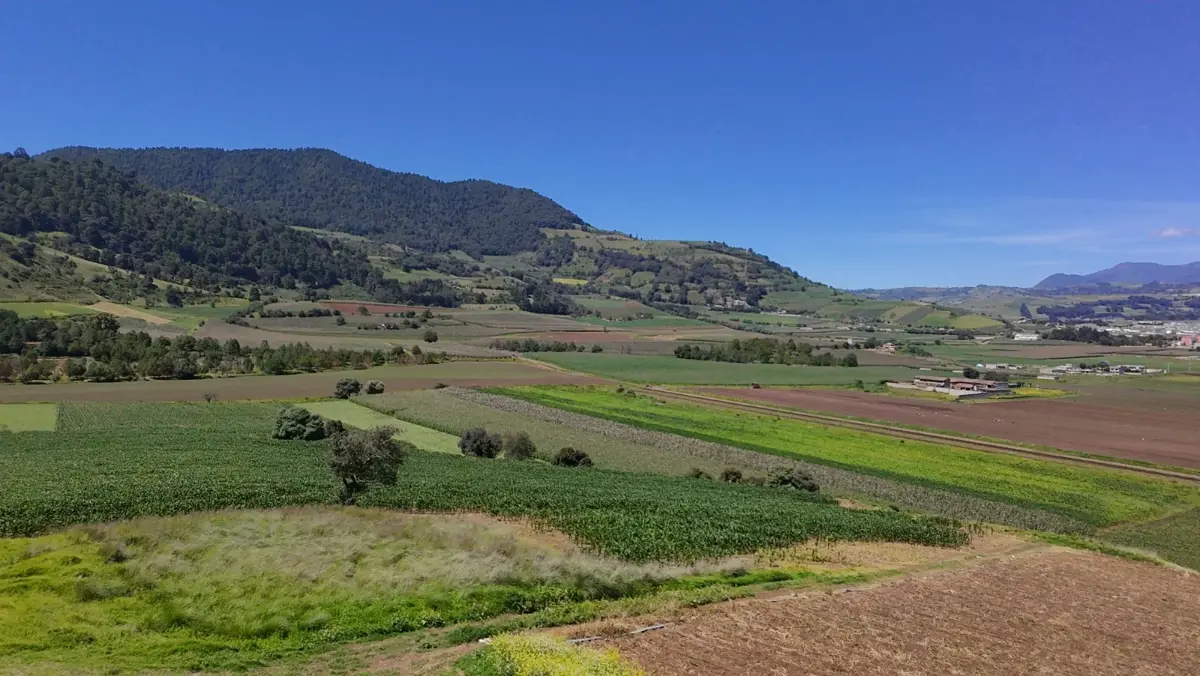 Terreno en venta en Tenango de Arista Centro, Tenango del Valle — foto 1 de 2
