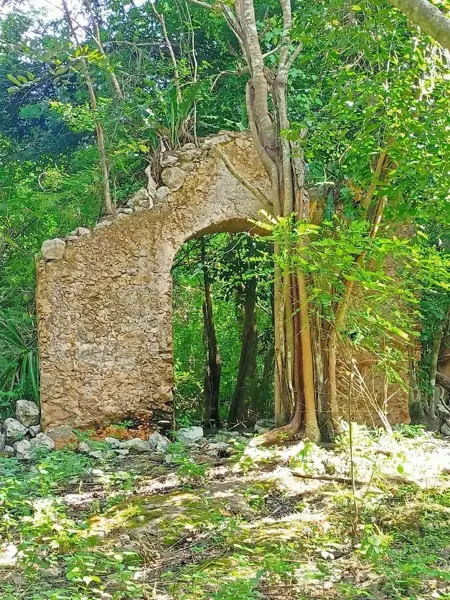 EX-HACIENDA DE 109 HECTÁREAS EN VENTA EN CHEMAX YUCATÁN.