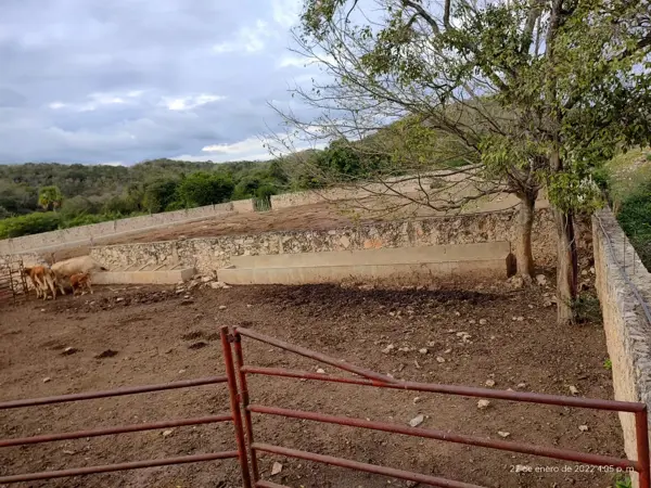 Finca-Rancho en venta en Dzitbalché Centro, Dzitbalché — foto 2 de 8