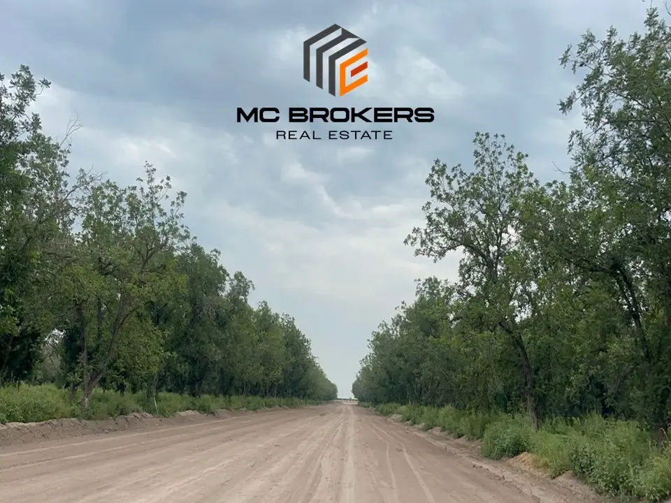 Terreno en venta en La Paz, Torreón — foto 1 de 9