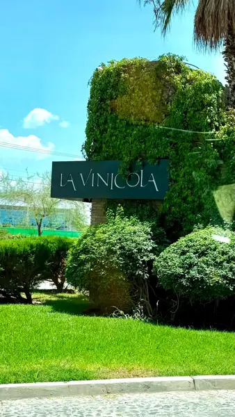 Terreno en venta en La Vinícola Residencial, Torreón, Coahuila de Zaragoza