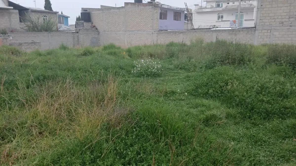 Terreno en venta en De la Veracruz, Zinacantepec — foto 1 de 3