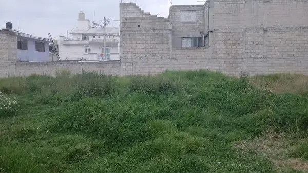 Terreno en venta en De la Veracruz, Zinacantepec — foto 2 de 3