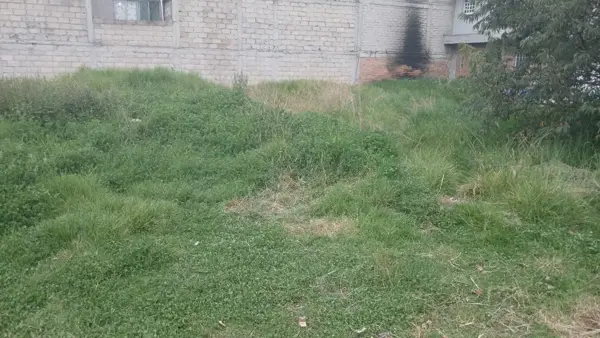 Terreno en venta en De la Veracruz, Zinacantepec — foto 3 de 3