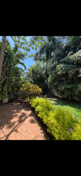 Casa en venta en Campestre, Mérida — foto 3 de 10