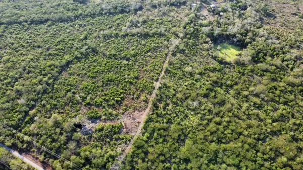 Finca-Rancho en venta en Buctzotz, Buctzotz — foto 3 de 10