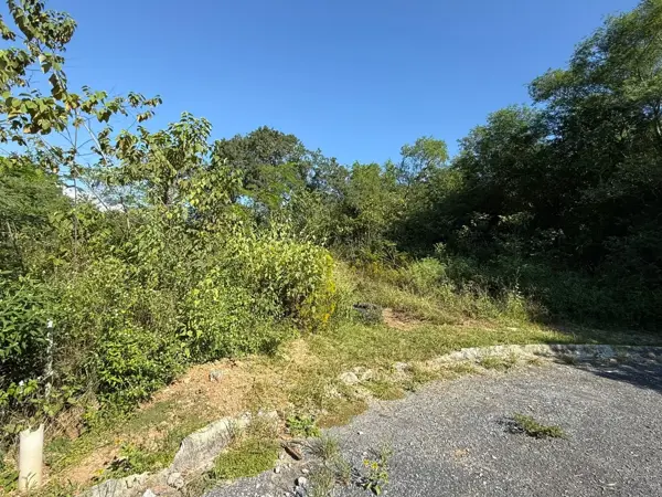 Terreno en venta en Bosques de las Lomas, Santiago — foto 3 de 3