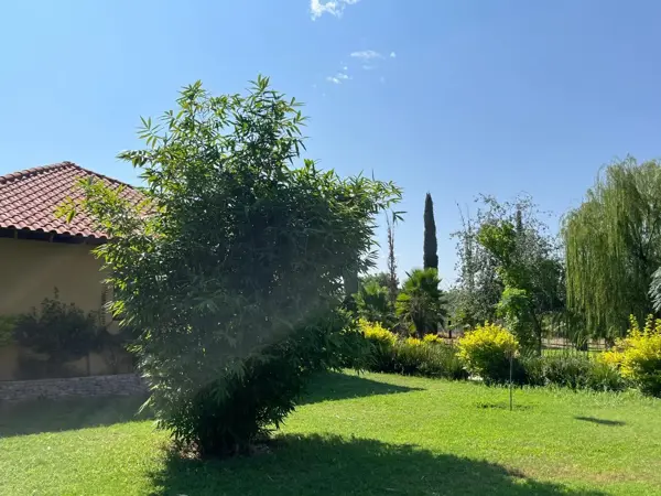 Quinta en venta en Monterrey, Lerdo — foto 3 de 18