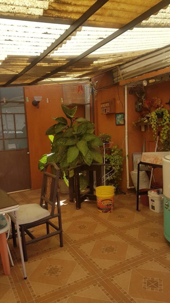 Casa en venta en San Lorenzo la Cebada, Xochimilco — foto 3 de 38