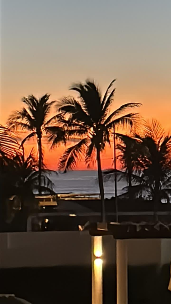 Departamento en venta en Vida Mar Residencial, Acapulco de Juárez — foto 3 de 20