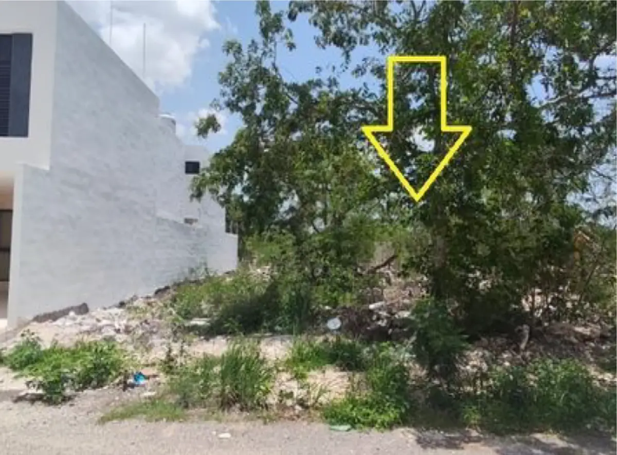 Terreno en venta en Dzitya, Mérida — foto 1 de 6