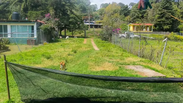 Terreno en venta en Agua Fría, Charo — foto 3 de 5