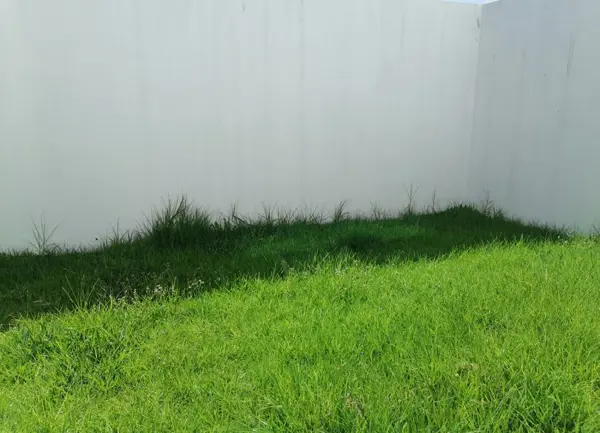 Casa en venta en Momoxpan, San Pedro Cholula — foto 3 de 17