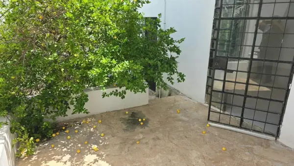 Casa en renta en Garcia Gineres, Mérida — foto 3 de 17