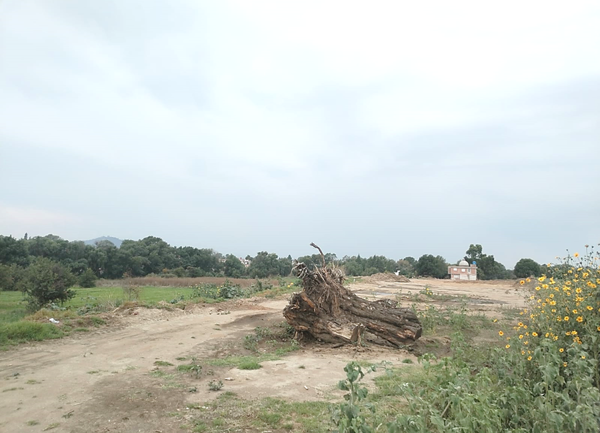 Terreno en venta en Santa Barbara Almoloya, San Pedro Cholula — foto 2 de 3