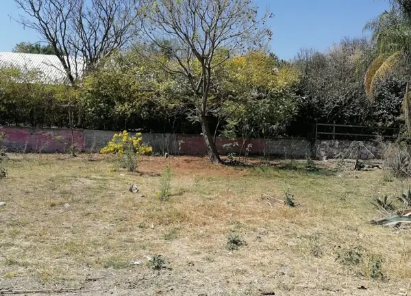 Terreno en venta en Atlixco Centro, Atlixco — foto 3 de 14