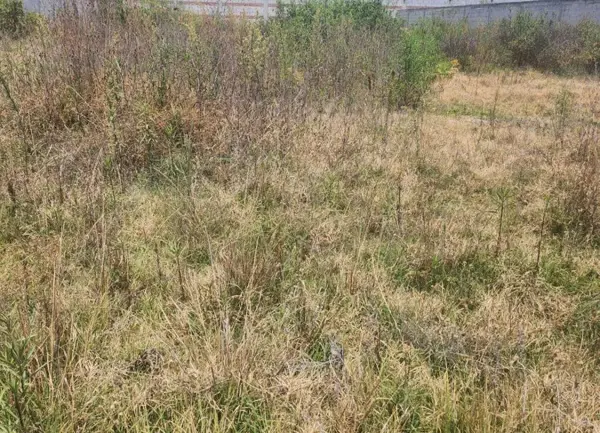 Terreno Bardeado de 880 m² Ubicado en Villa Albertina