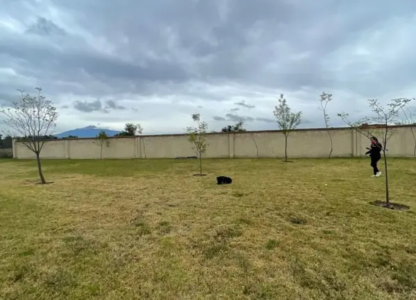 Terreno en venta en Santa Isabel Tetlatlahuca, Tetlatlahuca — foto 2 de 8