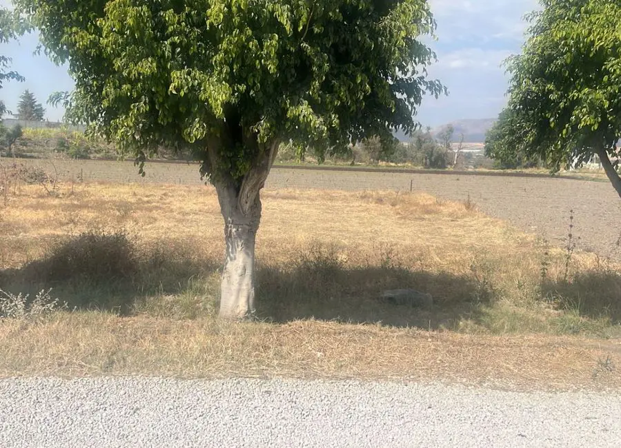 Terreno en venta en San Agustín Huixaxtla, Atlixco — foto 1 de 5