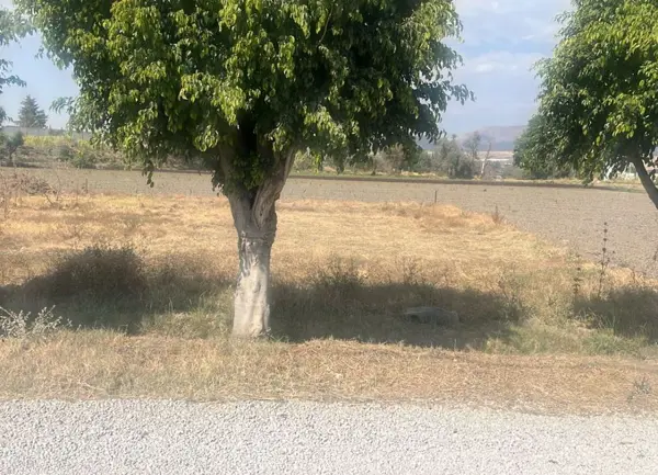 TERRENO EN VENTA SAN AGUSTIN HUIXAXTLA ATLIXCO 1TV F157