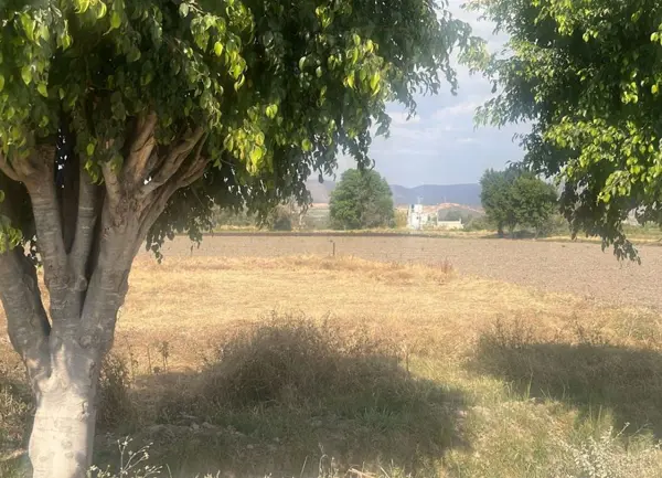 Terreno en venta en San Agustín Huixaxtla, Atlixco — foto 2 de 5