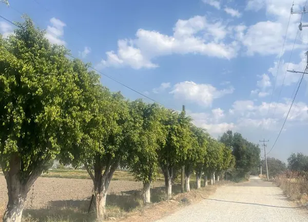 Terreno en venta en San Agustín Huixaxtla, Atlixco — foto 3 de 5
