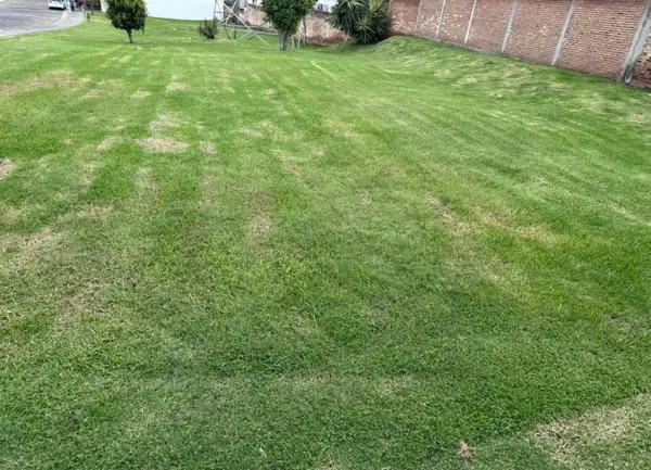Terreno en venta en El Barreal, San Andrés Cholula — foto 2 de 5