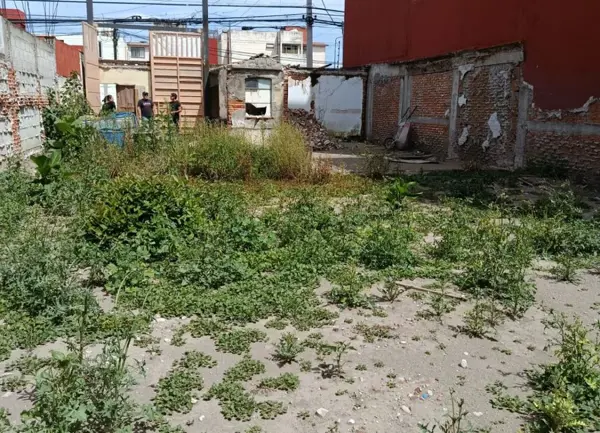 EN RENTA TERRENO EN LA NORIA 1TR F232