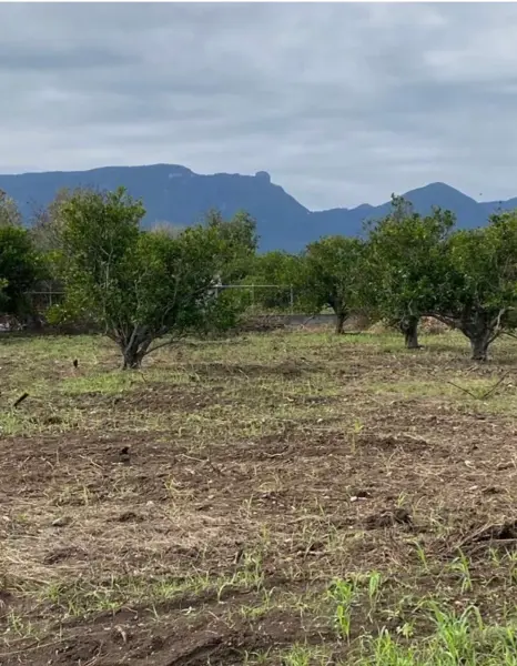 Terreno residencial en venta en La Unión, Cadereyta Jiménez, Nuevo León