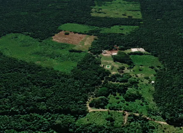 RANCHO DE 66 HAS EN VENTA UBICADO EN EL CONO SUR DEL ESTADO EN EL MUNICIPIO DE TAHDZIÚ, YUCATÁN.