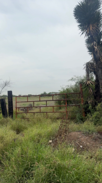 Terreno en venta en Los Cuates, Salinas Victoria — foto 3 de 7