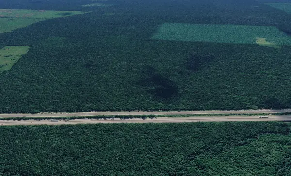 EX-HACIENDA DE 109 HECTÁREAS EN VENTA EN CHEMAX YUCATÁN.