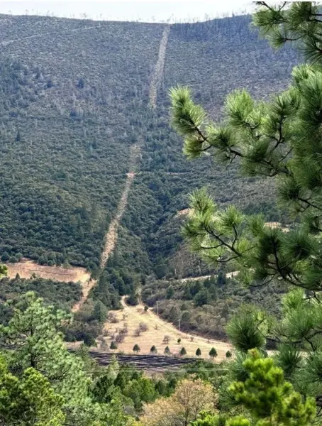 Terreno en venta en La Ciruela, Arteaga — foto 2 de 12