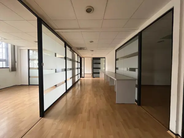 Oficina en Renta - Anzures -188m2 - Piso 5 — foto 1 de 14