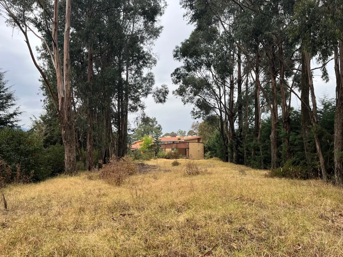 Terreno en venta en San Mateo Tlaltenango, Cuajimalpa de Morelos — foto 1 de 19