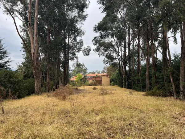Terreno en Venta - Cuajimalpa - 11,767m2