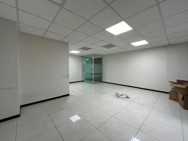 Oficina en renta en Anzures, Miguel Hidalgo — foto 3 de 13