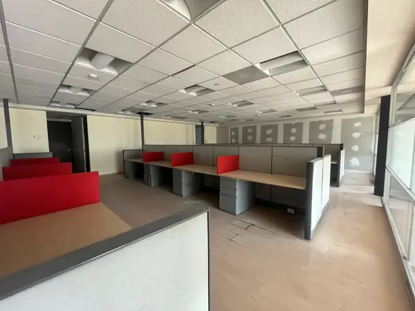 Oficina en Renta - Paseo de la Reforma - 325m2 - Piso 10