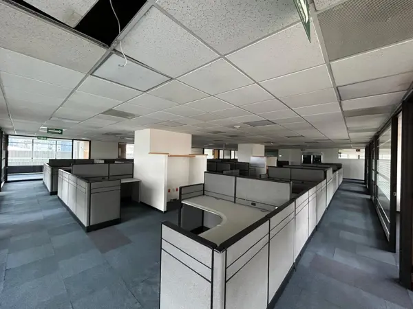 Oficina en Renta - Ejercito Nacional - Piso 11 - 857 m2