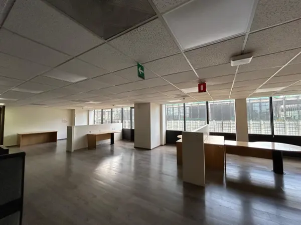 Oficina en renta en Polanco II Sección, Miguel Hidalgo — foto 3 de 24
