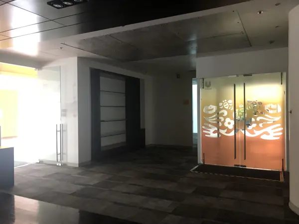 Oficina en Renta - Arcos Bosques II - Piso 5 -  237 m2