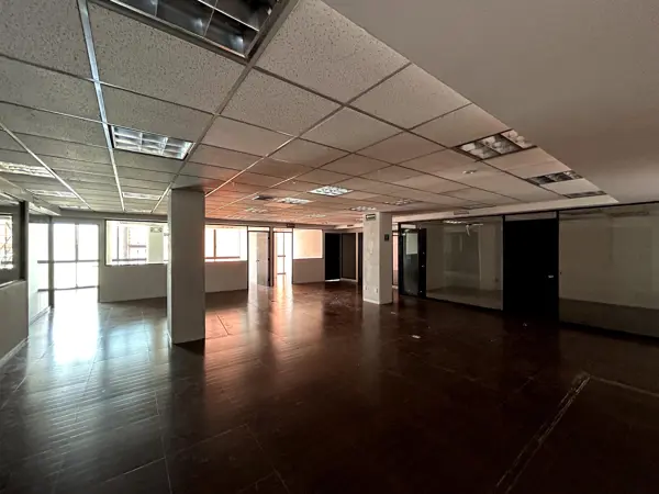 Oficina en Renta - Ejército Nacional  Piso 4 - 348 m2
